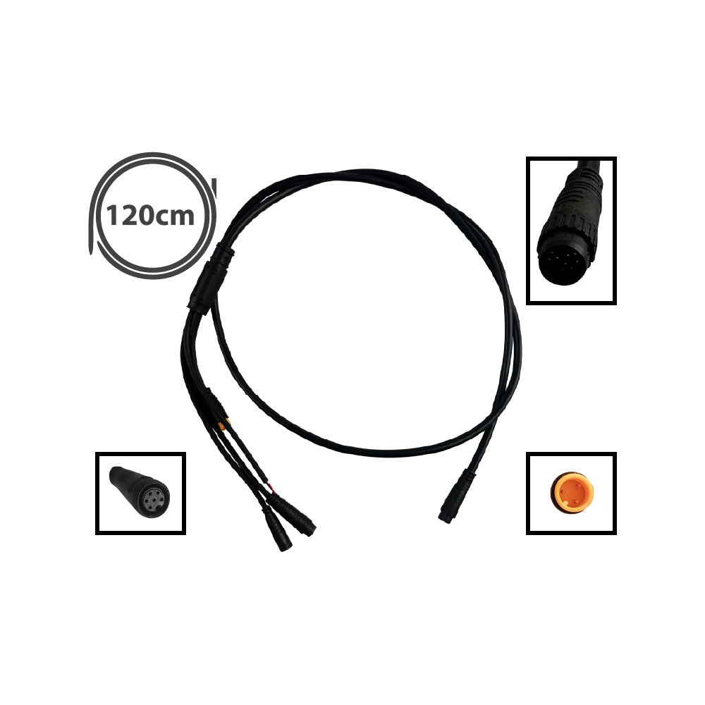 0.53574900 175931503291869858