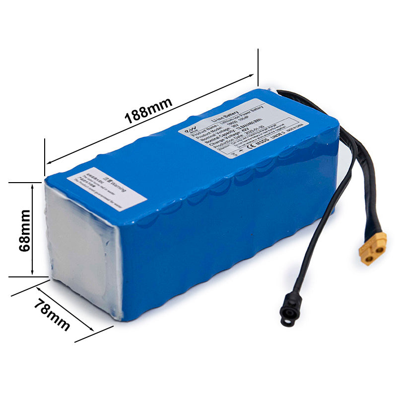 Externe Batterie 36V 12,8Ah