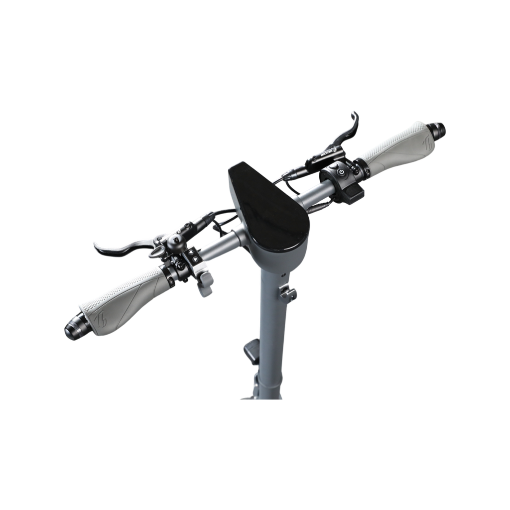 Trittbrett Paul E-Scooter 14,7Ah mit Blinker