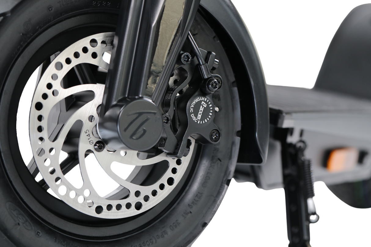 Trittbrett Paul E-Scooter 14,7Ah mit Blinker