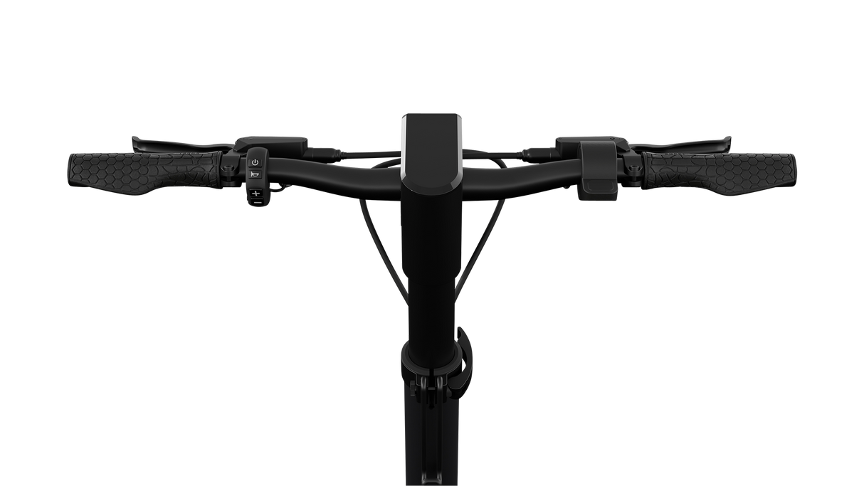 Egret Pro E-Scooter 500W Reichweite bis 80 km