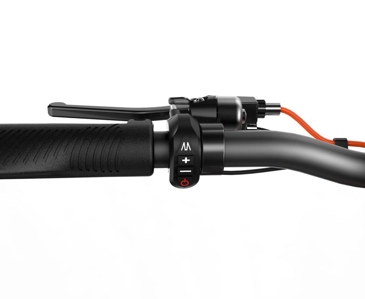 Joyor S5 E-Scooter 600W 55km 48V 13Ah