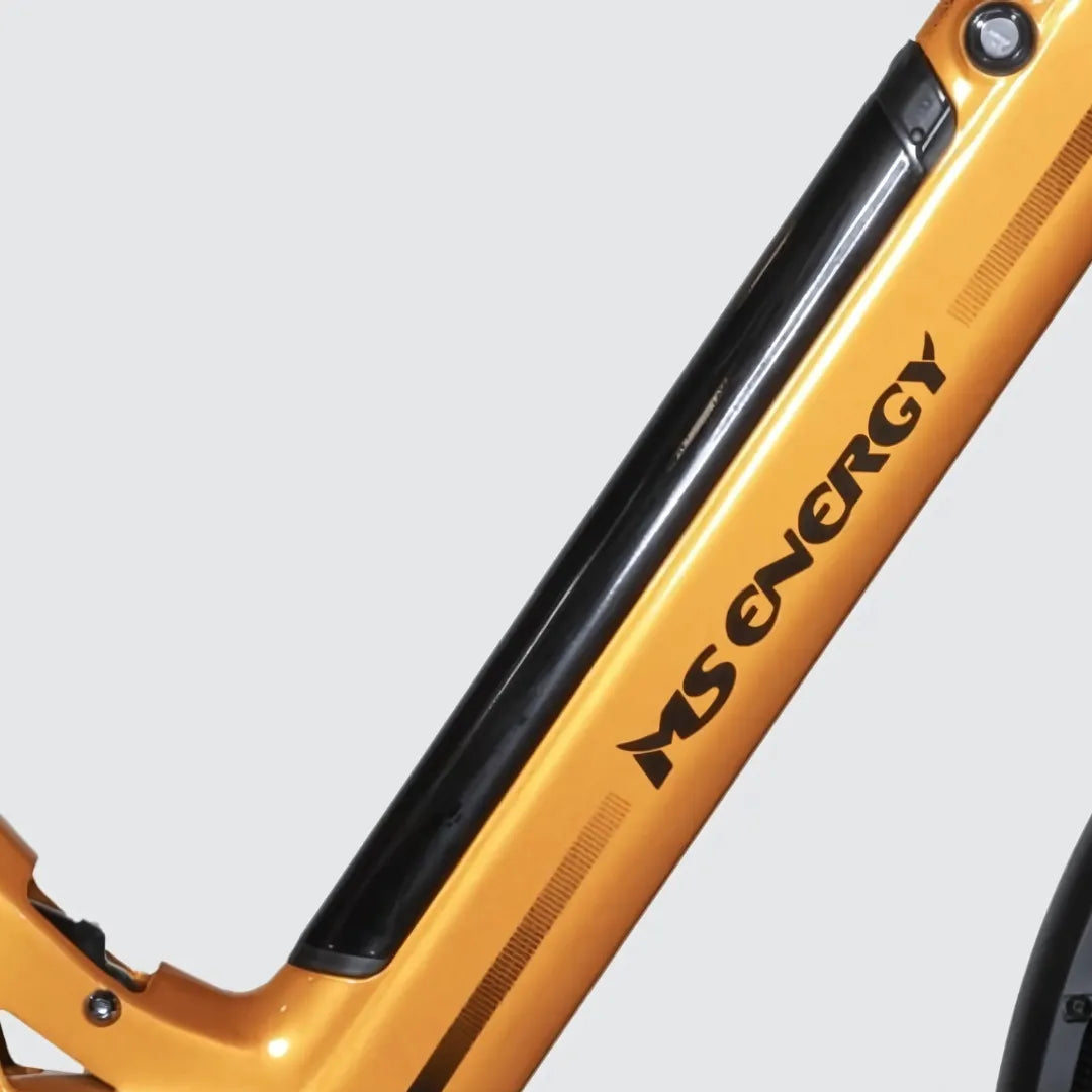 MS Energy SUV C502 E-Bike