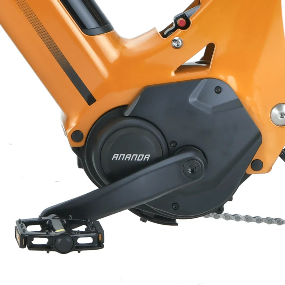 MS Energy SUV C502 E-Bike