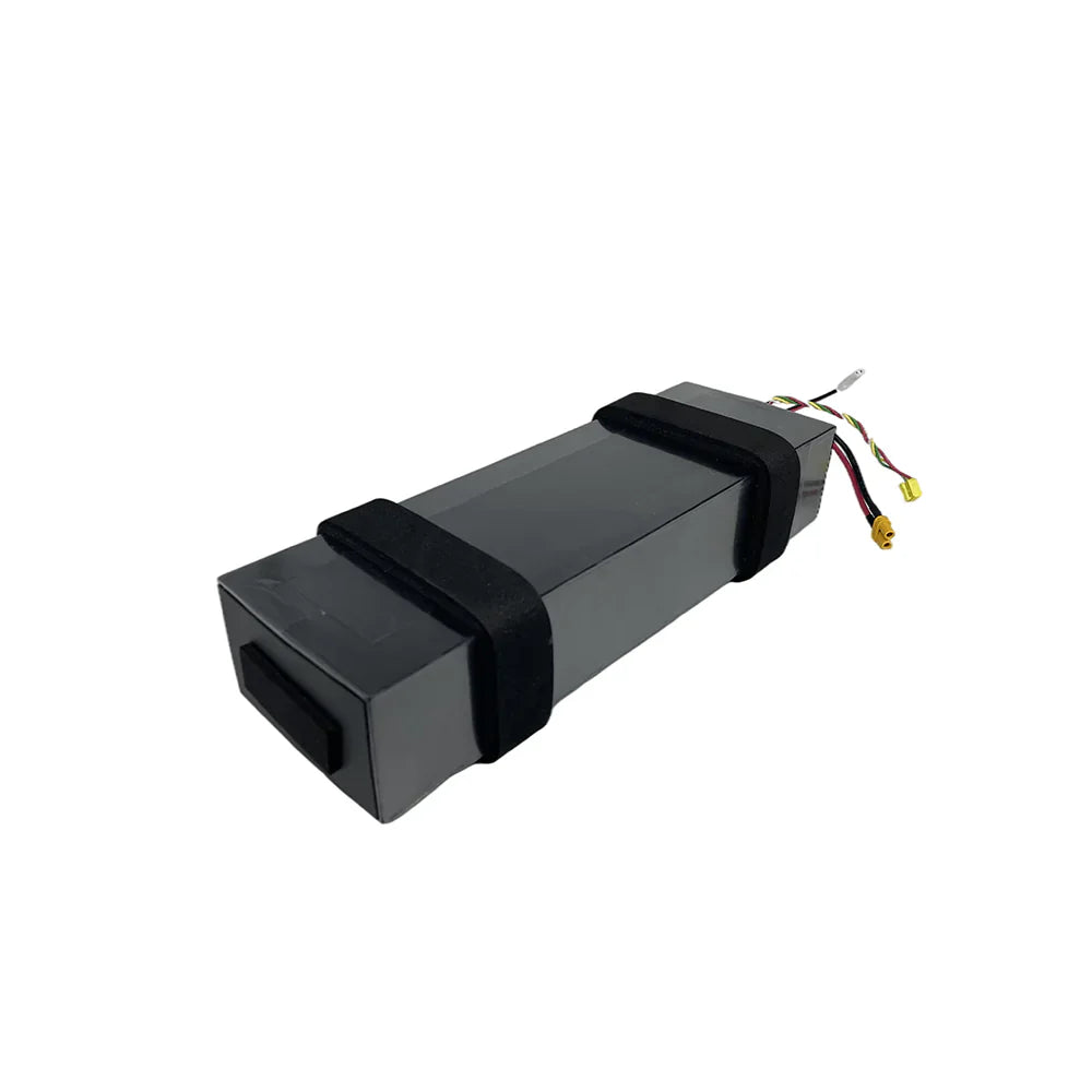 Ninebot F20 Akku Batterie 5.1Ah