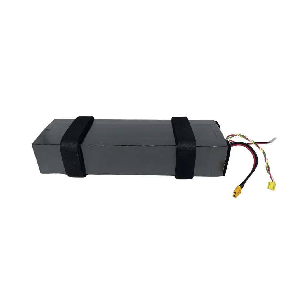 Ninebot F20 Akku Batterie 5.1Ah