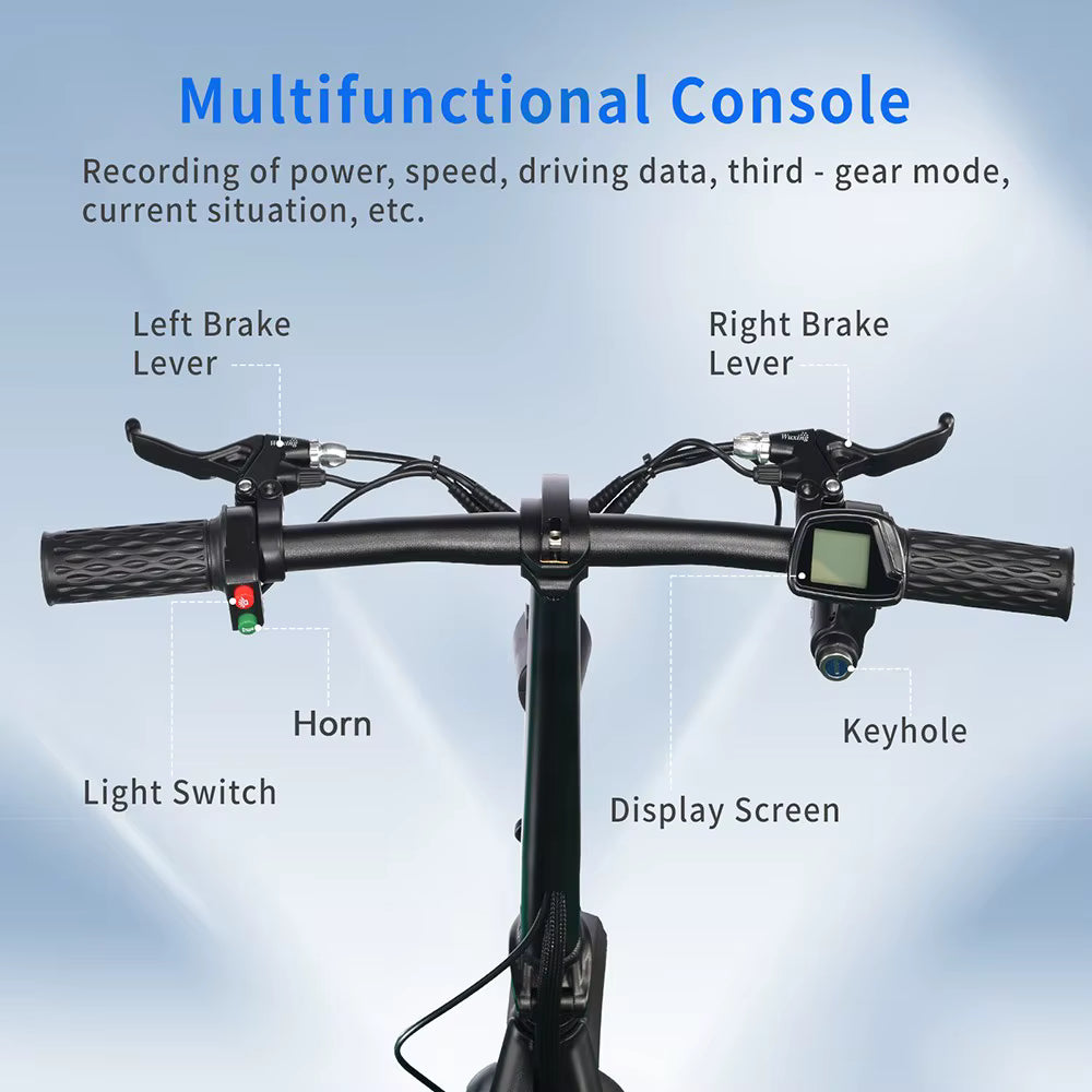 BOGIST M5 ELITE, TWOFISH VERSION 48V 500W mit Sitz