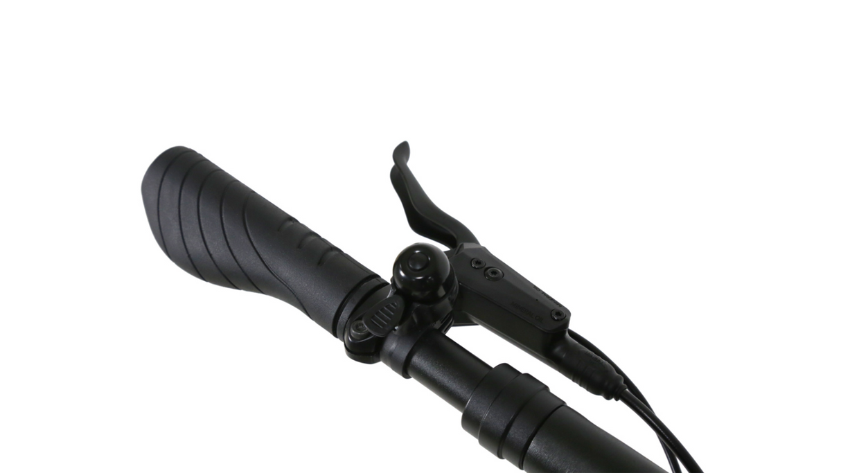 EGRET TEN V3 X SCHWARZ E-SCOOTER - 30 km/h, Reichweite bis 42 km