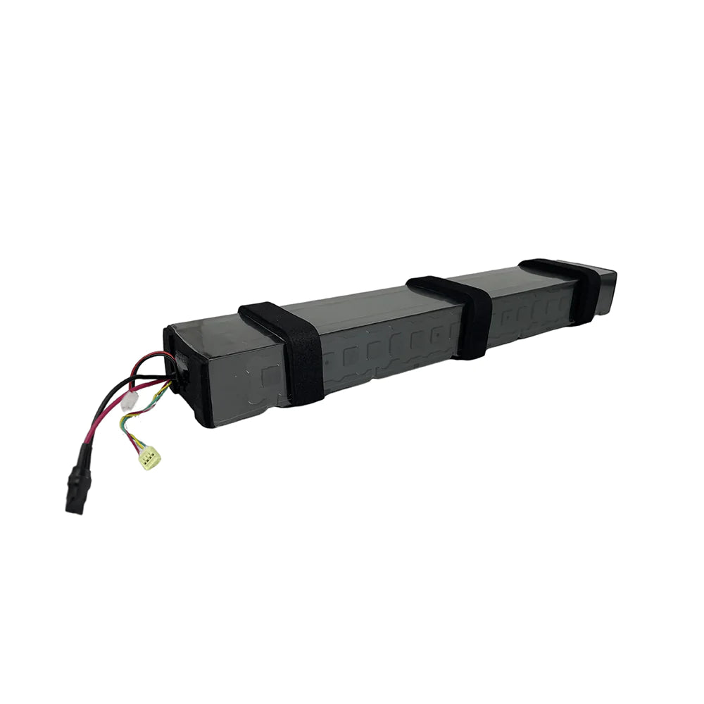Ninebot F40 Akku Batterie 10,4Ah – LUNA E-Scooter, Wir halten sie Mobil!
