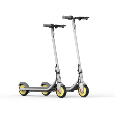Ninebot KickScooter ZING C8 / C10 Powered by Segway