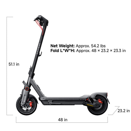 12481