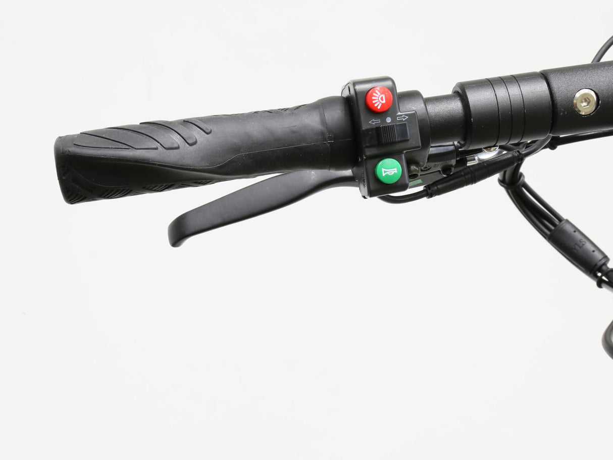 JOYOR Y10 - 100 km Reichweite - 40 km/h