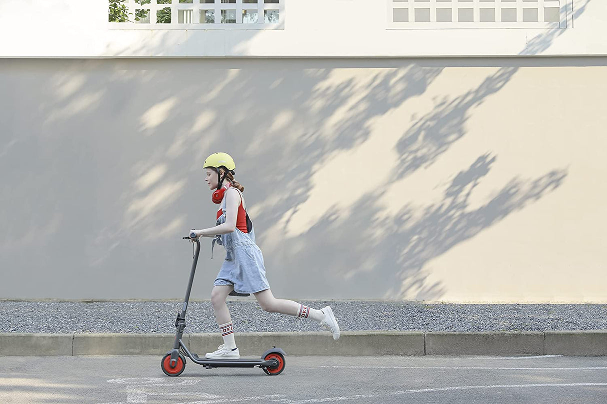 NINEBOT EKICKSCOOTER ZING C20 BY SEGWAY