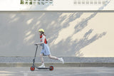 NINEBOT EKICKSCOOTER ZING C20 BY SEGWAY