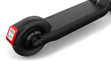 Egret Pro E-Scooter 500W Reichweite bis 80 km