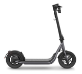EGRET X E-SCOOTER - 500W Reichweite bis 60 km