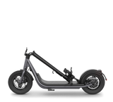 EGRET X E-SCOOTER - 500W Reichweite bis 60 km