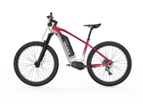 Yadea YS500 350W 36V 13Ah