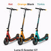 Luna E-Scooter GT 48V 10Ah
