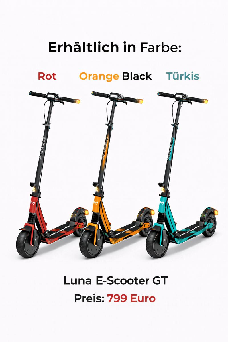 Luna E-Scooter GT 48V 10Ah