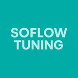 Soflow E-Scooter Tuning