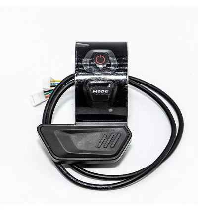Segway Ninebot P65 P100 Gashebel Original