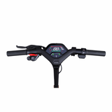 NINEBOT KICKSCOOTER P65E BY SEGWAY