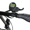 EGRET TEN V3 X SCHWARZ E-SCOOTER - 30 km/h, Reichweite bis 42 km