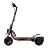 Segway-Ninebot Kick Scooter ZT3 Pro + Luna Full Service